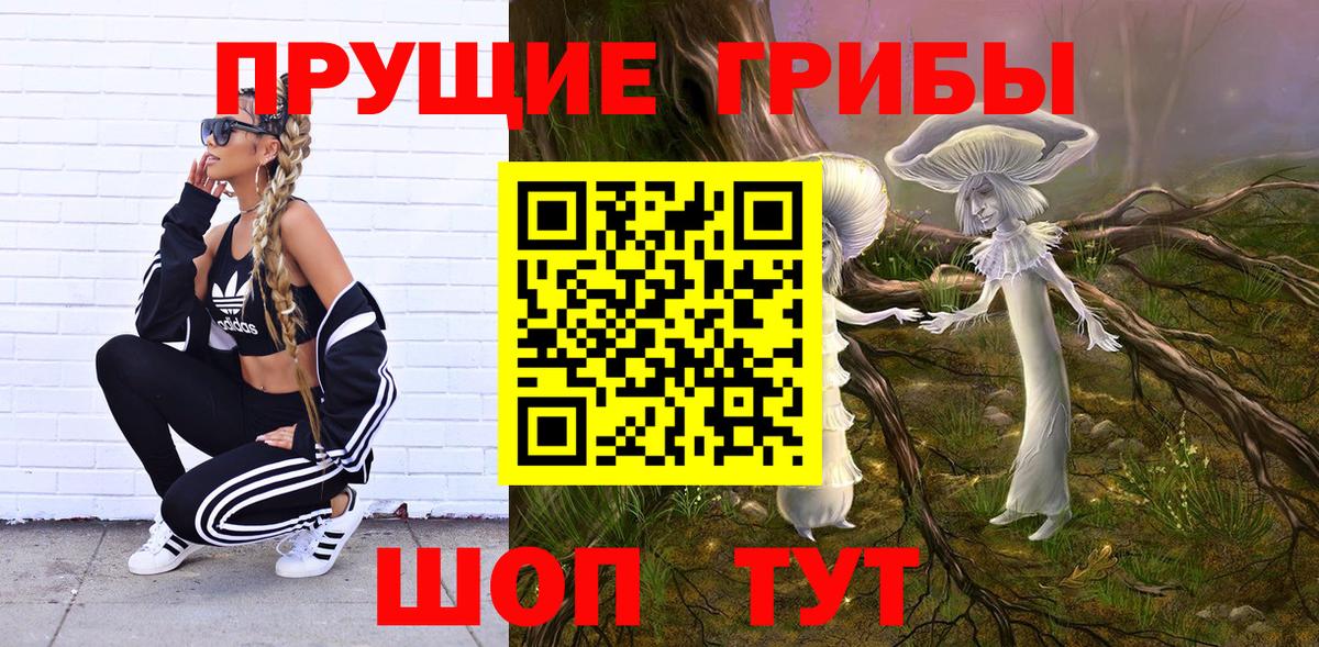 Димитровград  Галлюциногенные грибы ЛСД  Вход с VPN  Галлюциногенные грибы Magic Shrooms 