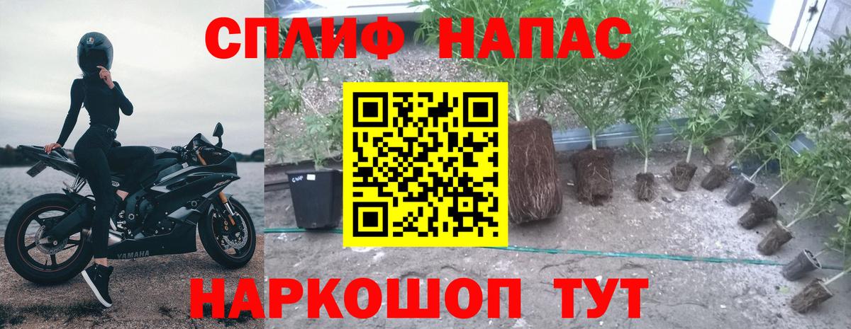 Марихуана THC 21%  Каннабис Bruce Banner  Димитровград  Вход с VPN 